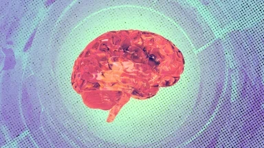 What a Concussion Taught Me About Leading Through Crisis