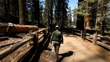 New Controversy Over U.S. National Park Service Fatal Incident Reporting Policy